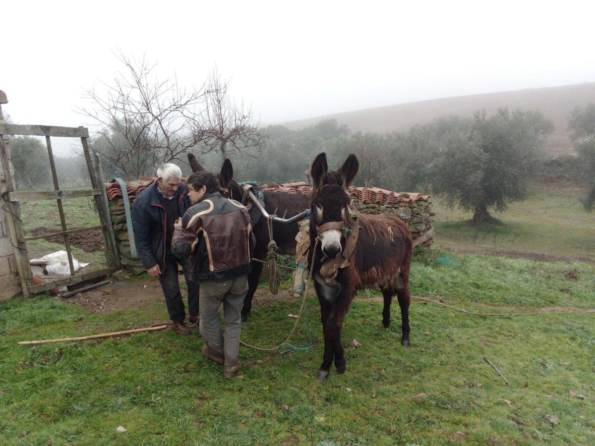 O Palheirinho - Turismo Rural - Bragança Casa de hóspedes Samil Exterior foto