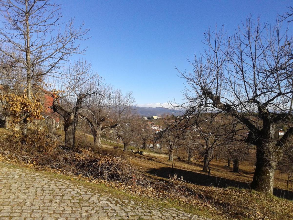 O Palheirinho - Turismo Rural - Bragança Casa de hóspedes Samil Exterior foto