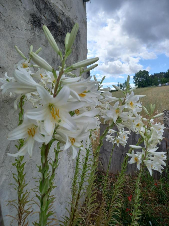 O Palheirinho - Turismo Rural - Bragança Casa de hóspedes Samil Exterior foto